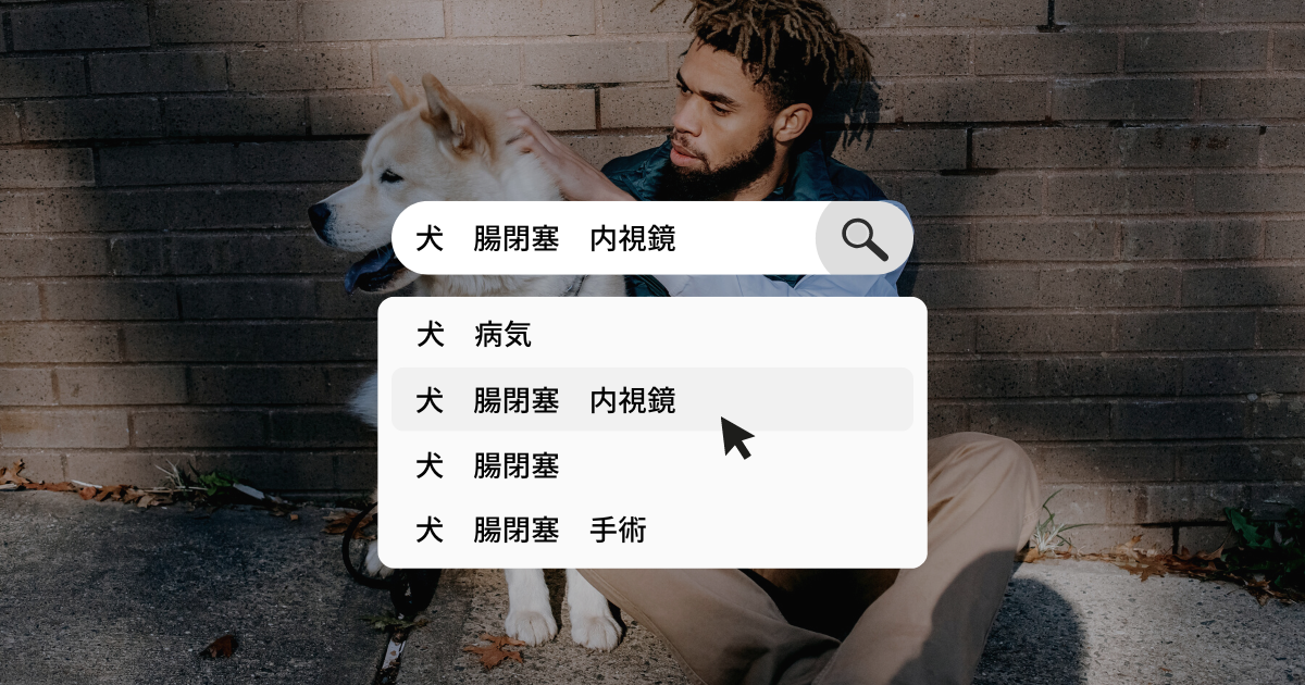 内視鏡が必要 突然 犬がご飯を食べても 水を飲んでも吐くときは注意 犬と生きる