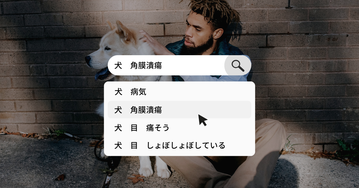 犬が目をしょぼしょぼしている 犬の角膜潰瘍について 犬と生きる